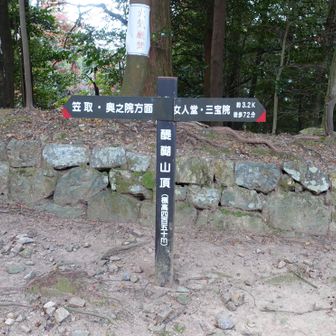 454ｍ地点も醍醐山のプレート。二山？アレ～
奥の院行は写真撮影している方向に看板あります。このまま行けば崖です。