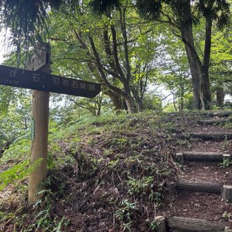 もうすぐ山頂