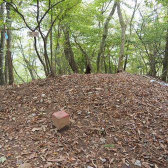 霜山山頂。