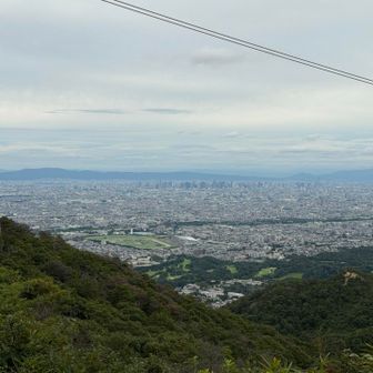 やっと街に近づいてきた