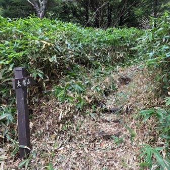 登山口まで、戻ってきました


ありがとう⛰️山王帽子山、小太郎山、太郎山🙏✨