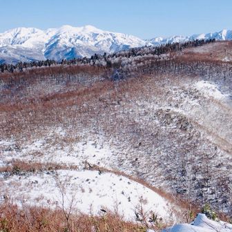 別山もくっきり

しかし、手前の斜面も薮薮で
行く気にならない感じ。