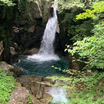 ハイクッカー　ヒロ