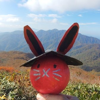 トシポンぽん