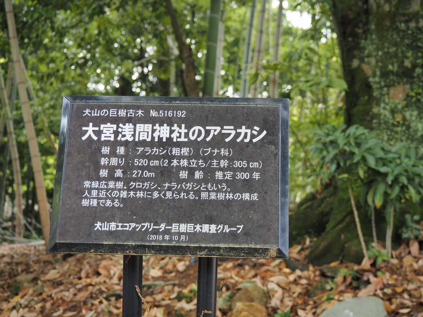 🪧説明板