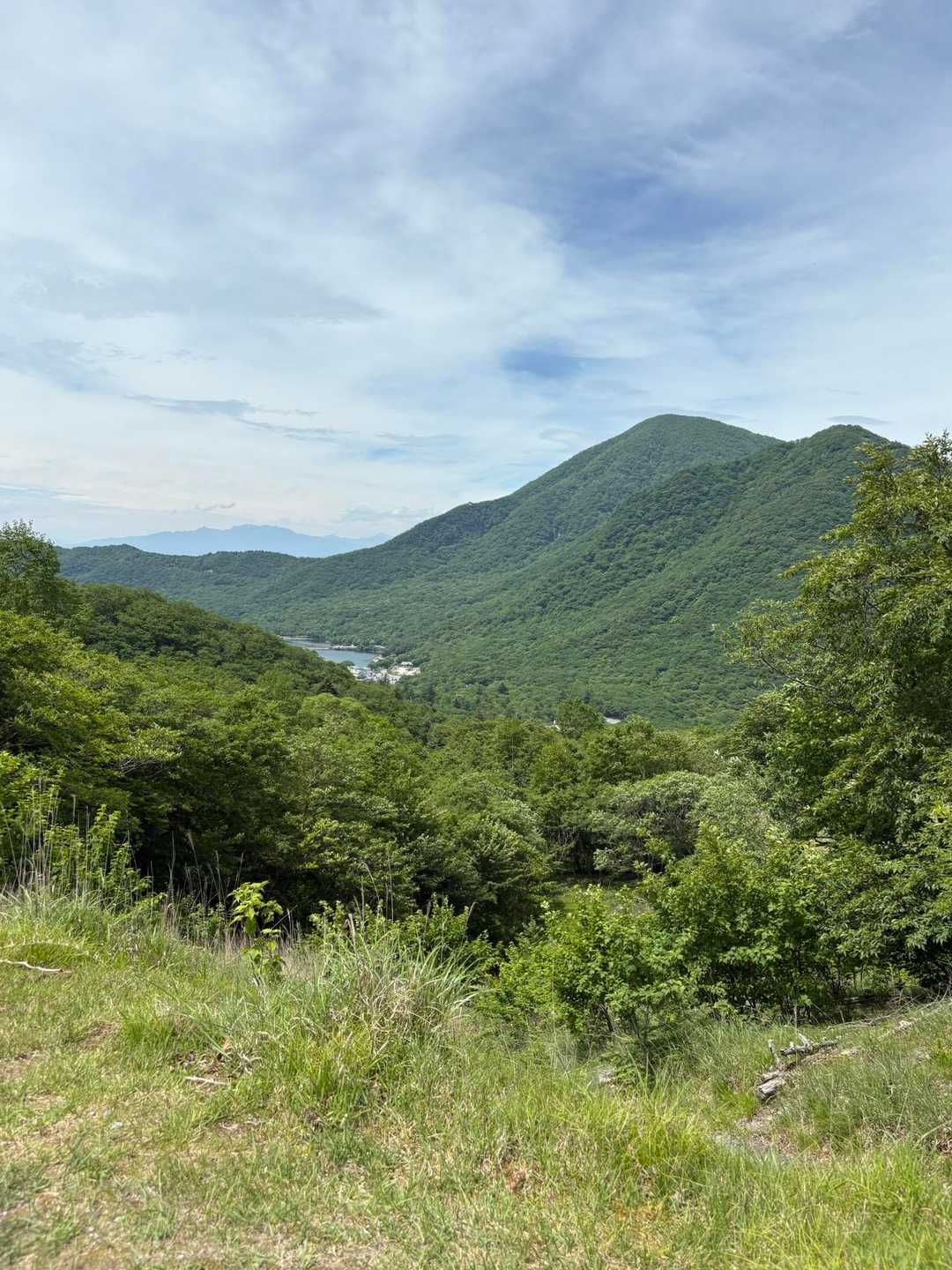 長七郎山 周回コースの写真