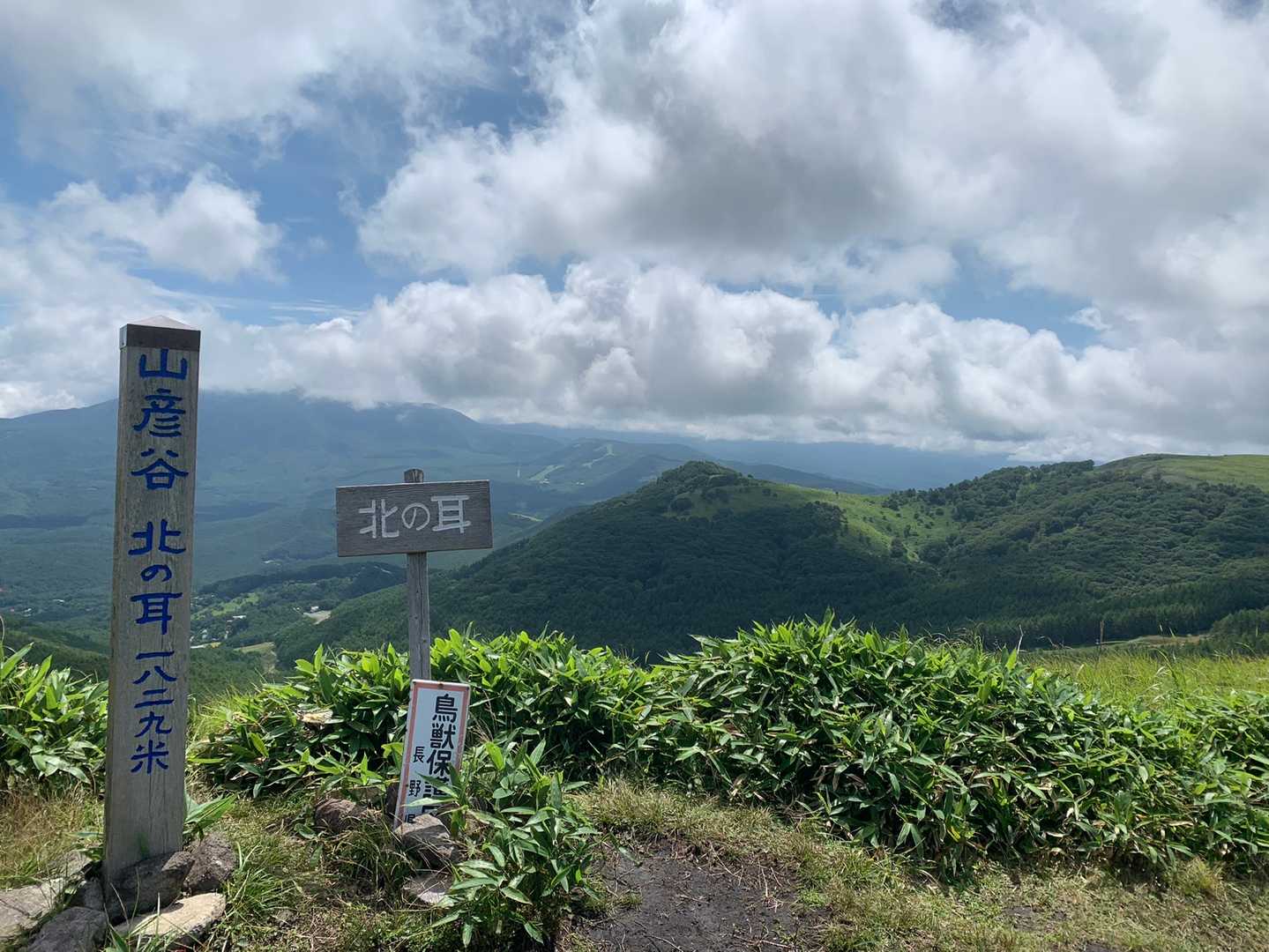 大笹峰-南の耳-殿城山 周回コースの写真