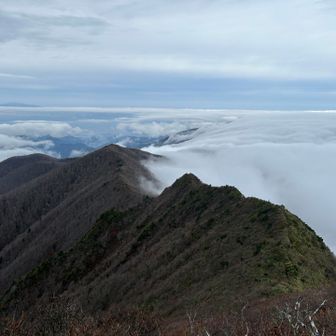 歩いた道を振り返って✨