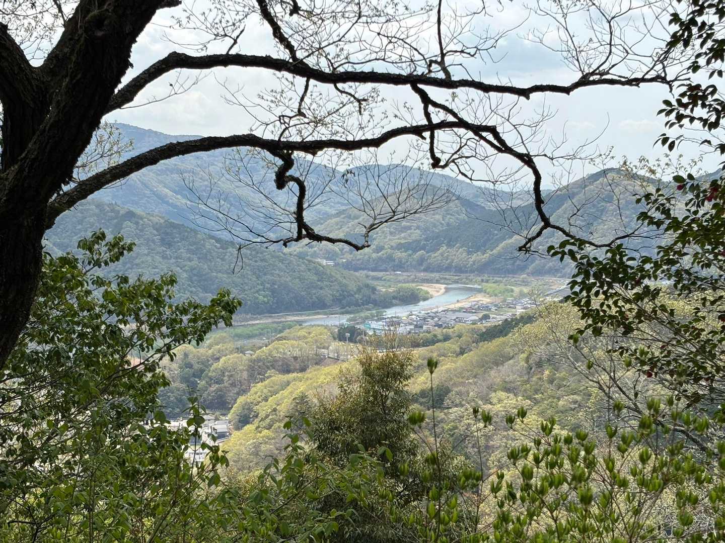 臥龍山 周回コースの写真