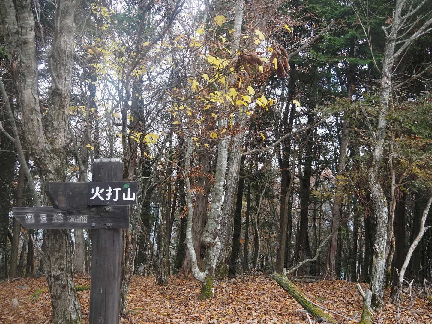 火打山山頂　🌡️1℃