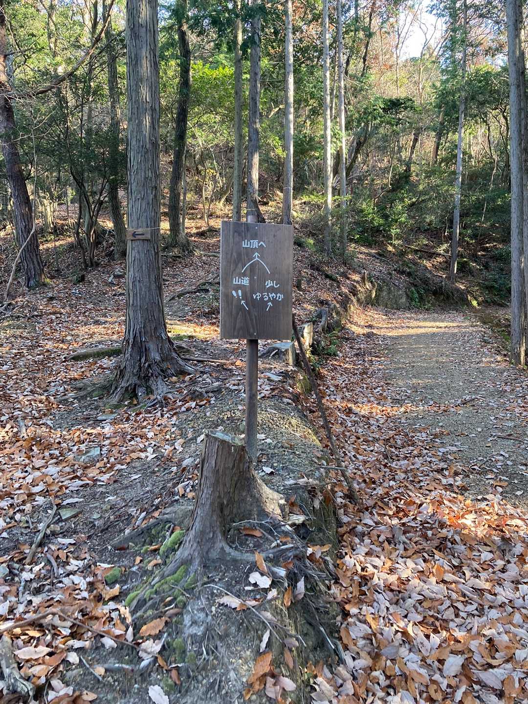 かいがけの道登り口-長寿の道登り口-三上山 周回コースの写真