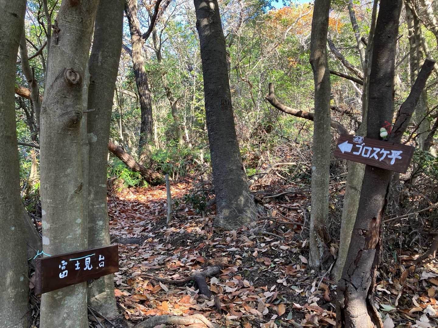 富士見台？　富士山が見えるの⁇
ゴロスケ平(近道)の方へ行ってみる。