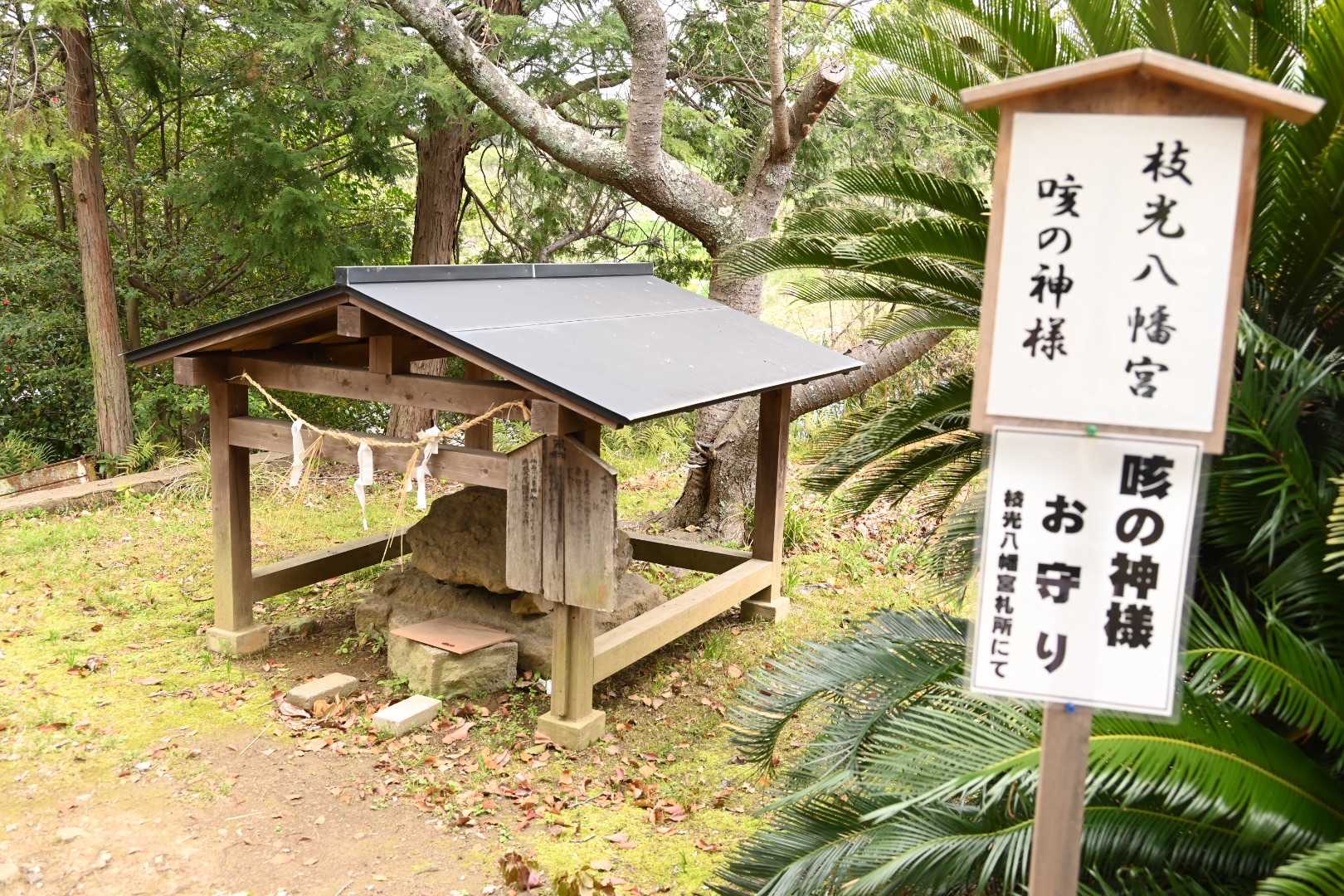 境内には咳止めの神様と言うちょっと珍しい神様が祀られています😷

中臣（なかとみ）様といって咳止めに効験がある神様として古くから崇められ、咳どめ祈願の参拝をして全快したときは、そのお礼として白粉団子をお供えする風習があったそうです🙏