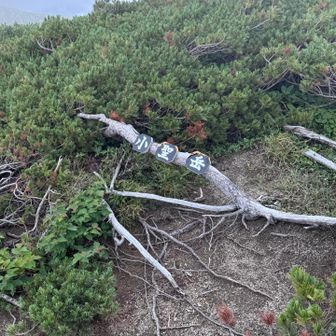 あ、こちらが山頂？