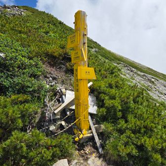 3度目の分岐です