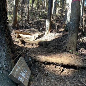和田峠におりてきた
