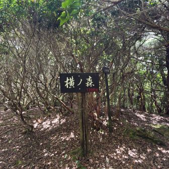 せっかくなのであと何座かピークハントします