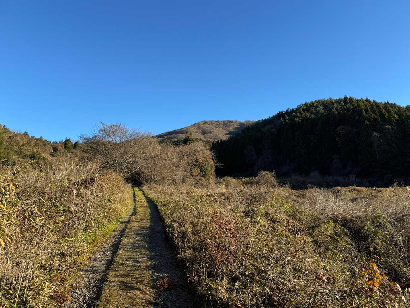 林道歩き中に一盃山ロックオン(奥の山)