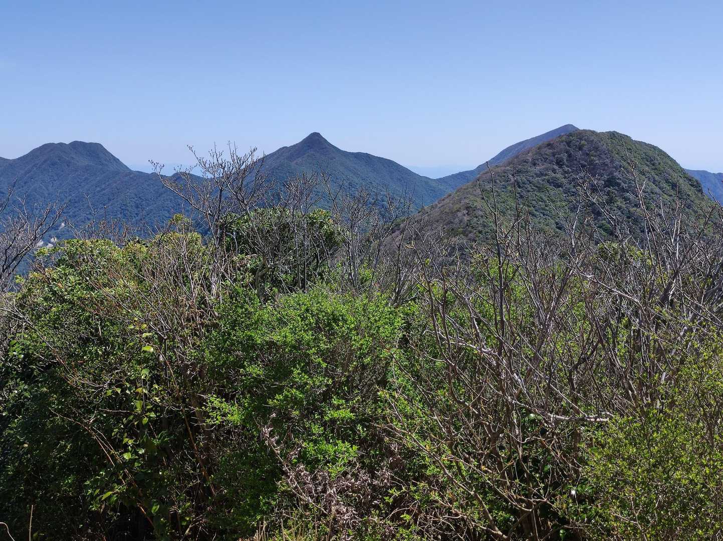 高隈連山。真ん中のピョコンは妻岳かな？