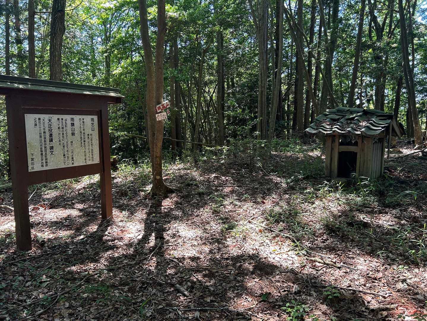 山頂に着いたようです