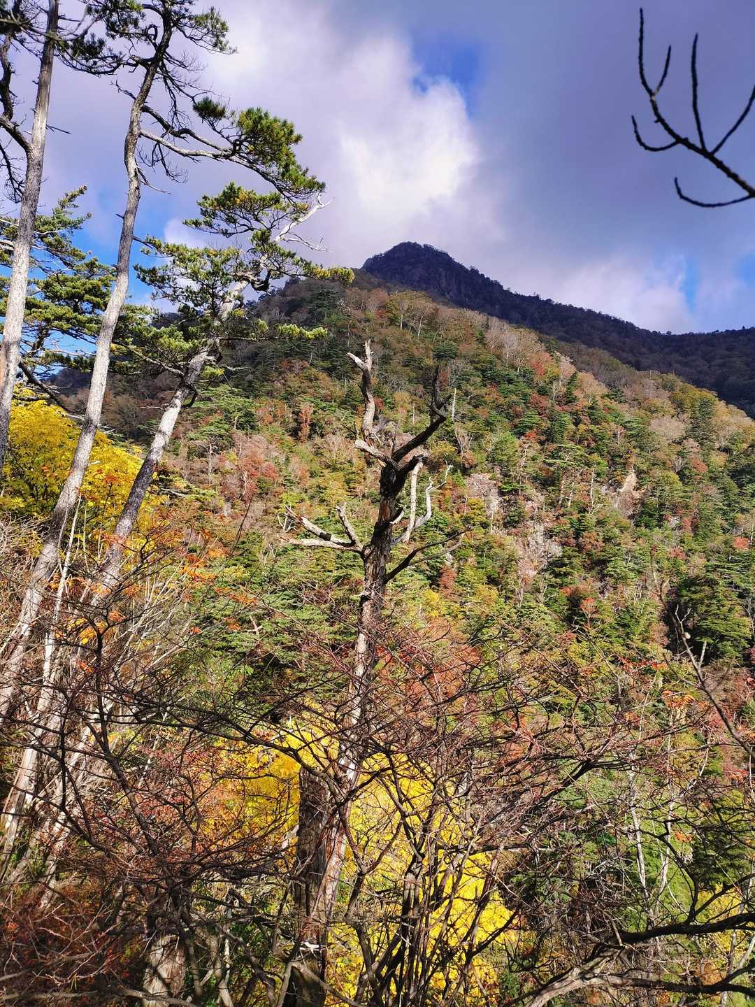 てっぺんが雲の影になっているのがなんとも言えないラスボス感🤩