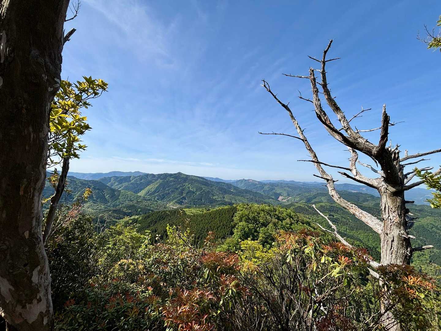 🤩🤩🤩🤩
山深い景色✨