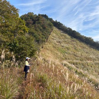 見逃しやすいお花を沢山見つけてくれた、
フラワーハンターのRyokoさん🌸