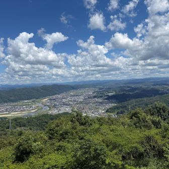 展望台からの見晴らし