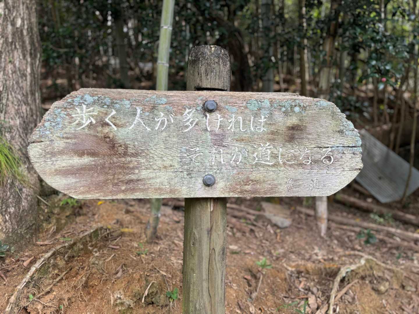 吾妻山入り口-吾妻山登山口-吾妻山-岩木戸山-大形山 往復コースの写真