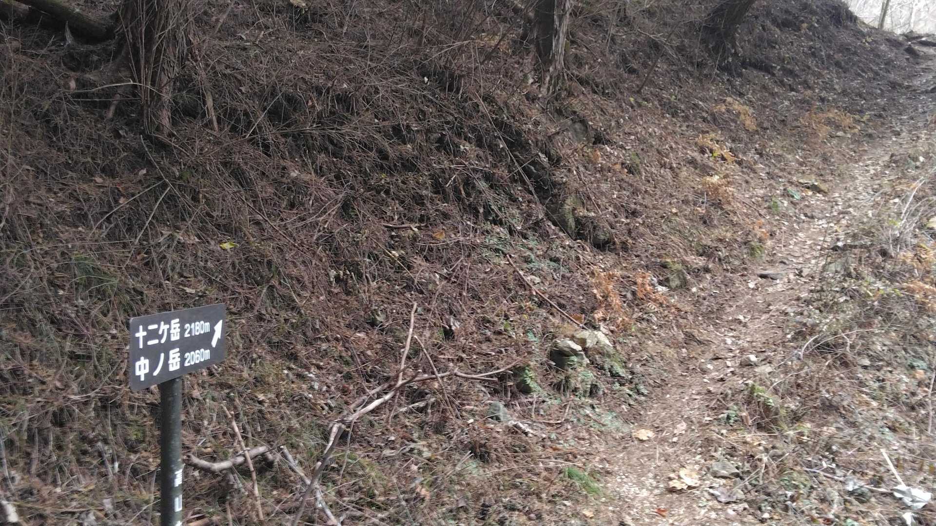 本来はここから尾根を通って登るのですが…
林道沿いにシモバシラの氷華が多いとの情報なので
