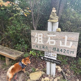 久しぶりに小鉄とここまで登れて嬉しいな🙌
ゆっくりする間もなく帰りたがる小鉄でした😅