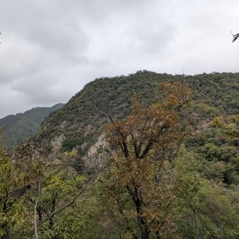鷹巣山が目の前