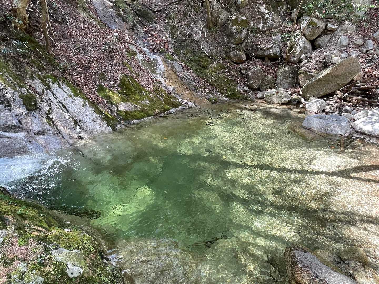 綺麗✨な水。
もう飛び込みたい🥵