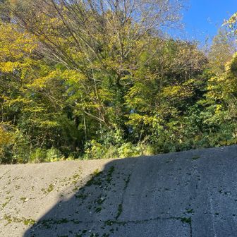 ⑧甘木山の山頂は団地の裏の擁壁の上
さすがに入るのは遠慮する
この手前でだいぶ道迷いしました😅