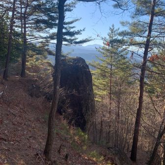 立石の由来かな石が立っている。
ちなみにこの先で猿の群れに遭遇！一瞬熊かと緊張してしまいました