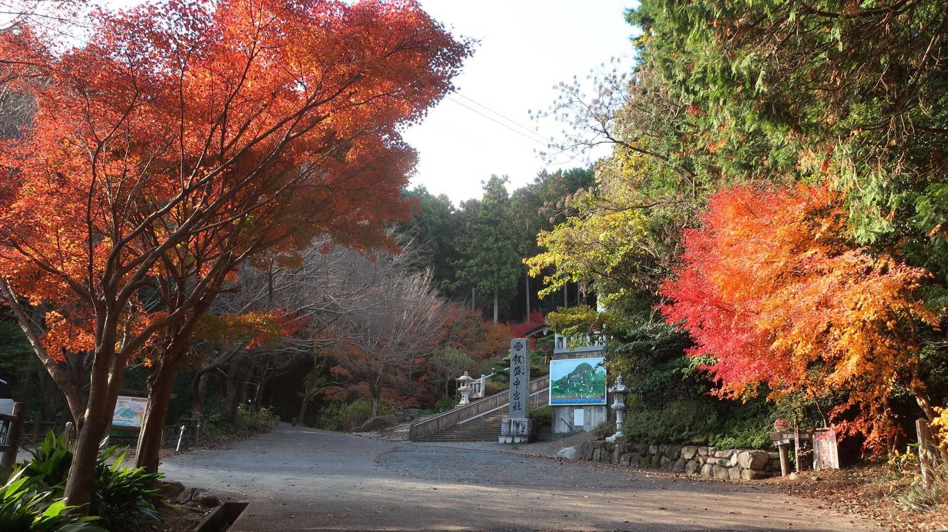 中宮では綺麗な🍁