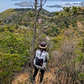 島山にもってこいの季節だにゃ✨✨
