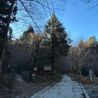 日影沢林道の方へ行く。左はいろはの森コース。