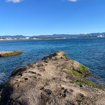 ここ先っぽチョンチョン
こういうところに来ると
なるだけ先っちょに行きたなる
