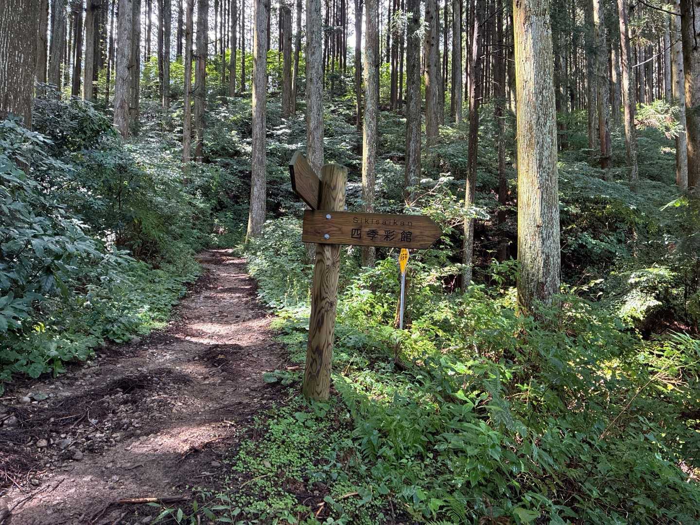 色彩感