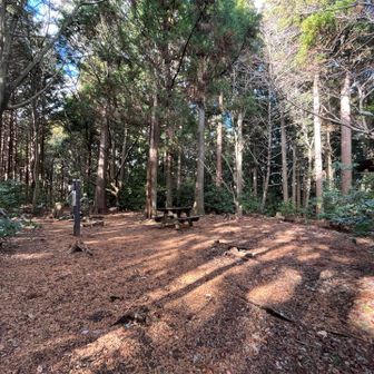 鐘ケ嶽山頂🔔ある事に少し期待した。
鐘撞山とは違うか😅
