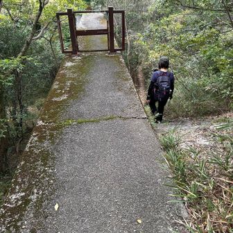 左右どちらにも下り階段ありますが、右が⭕️