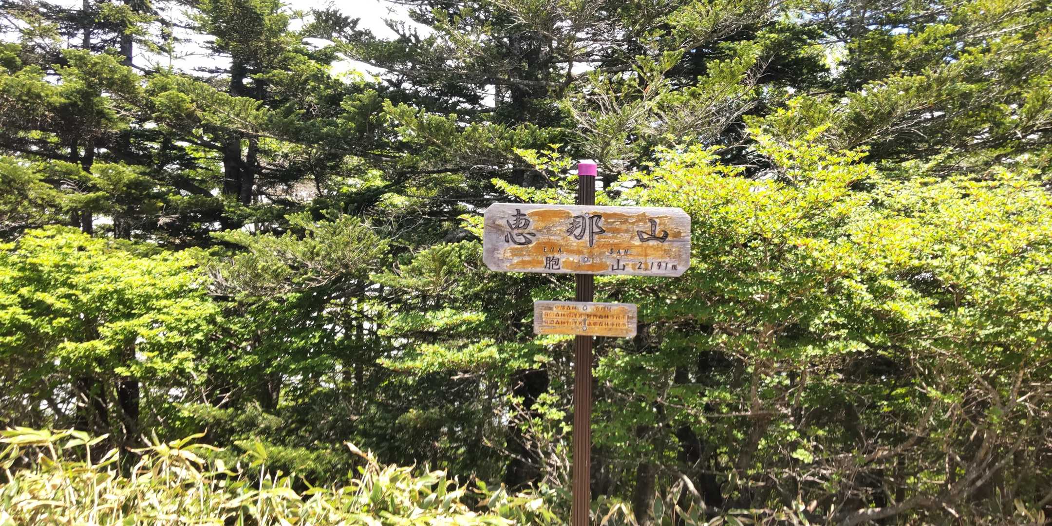 山頂標識いただきます。