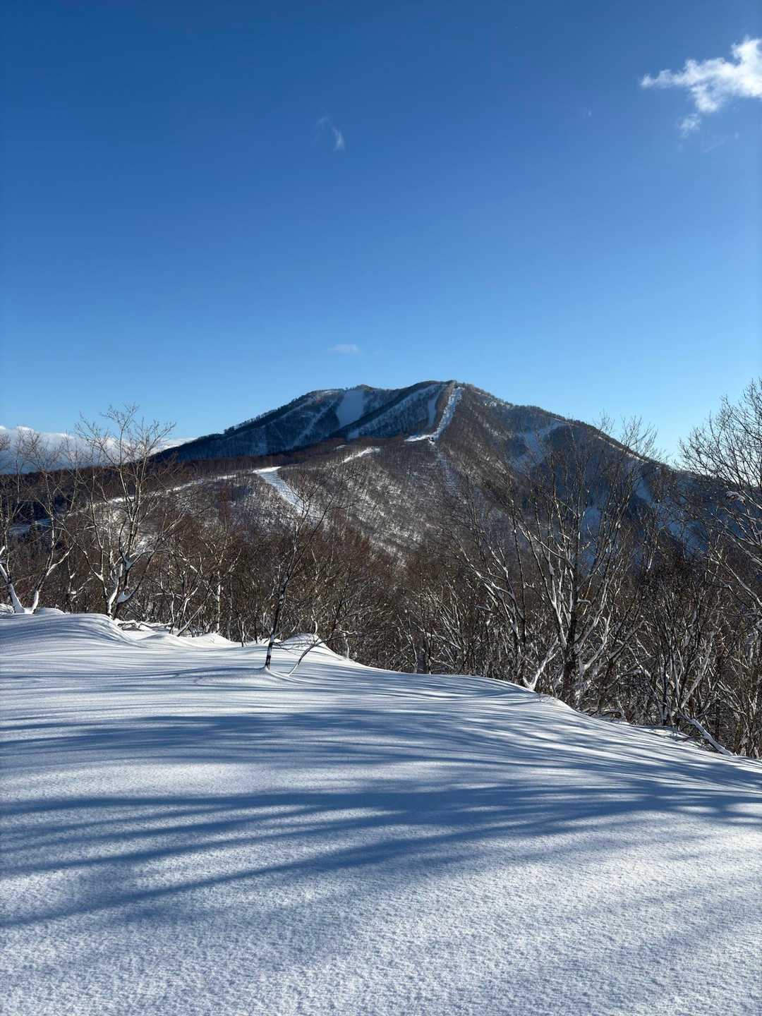 帰りにはバッチリ斑尾山