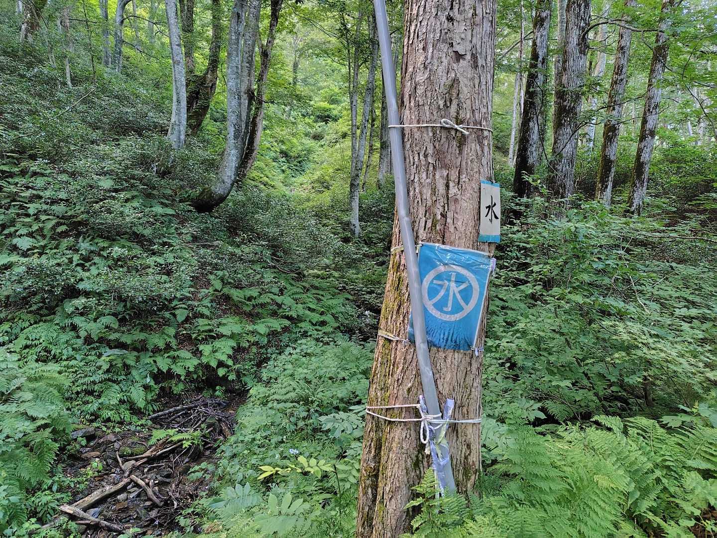 登山口までの道中には水場もあります✨