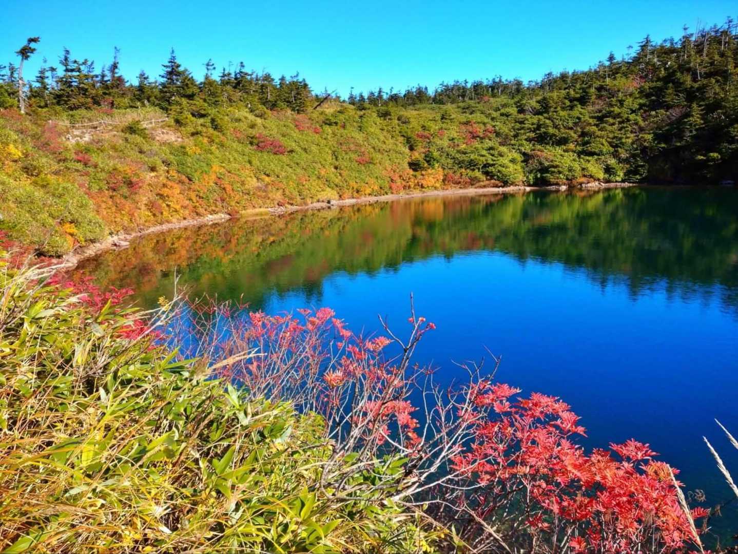 八幡平登山口発着｜日本百名山の湖沼・湿原周回コースの写真