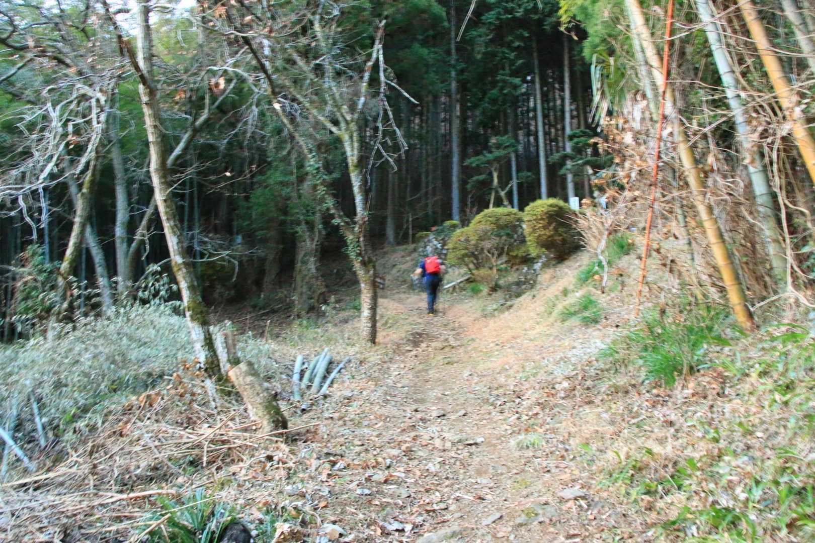 登山道に入ってしまえば、よく整備されていてとても歩きやすい♪
