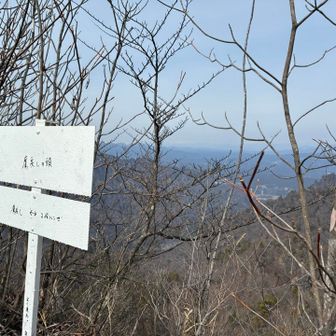 最近書いていただいたという文字
エピソードを聞いたら癒されましたw