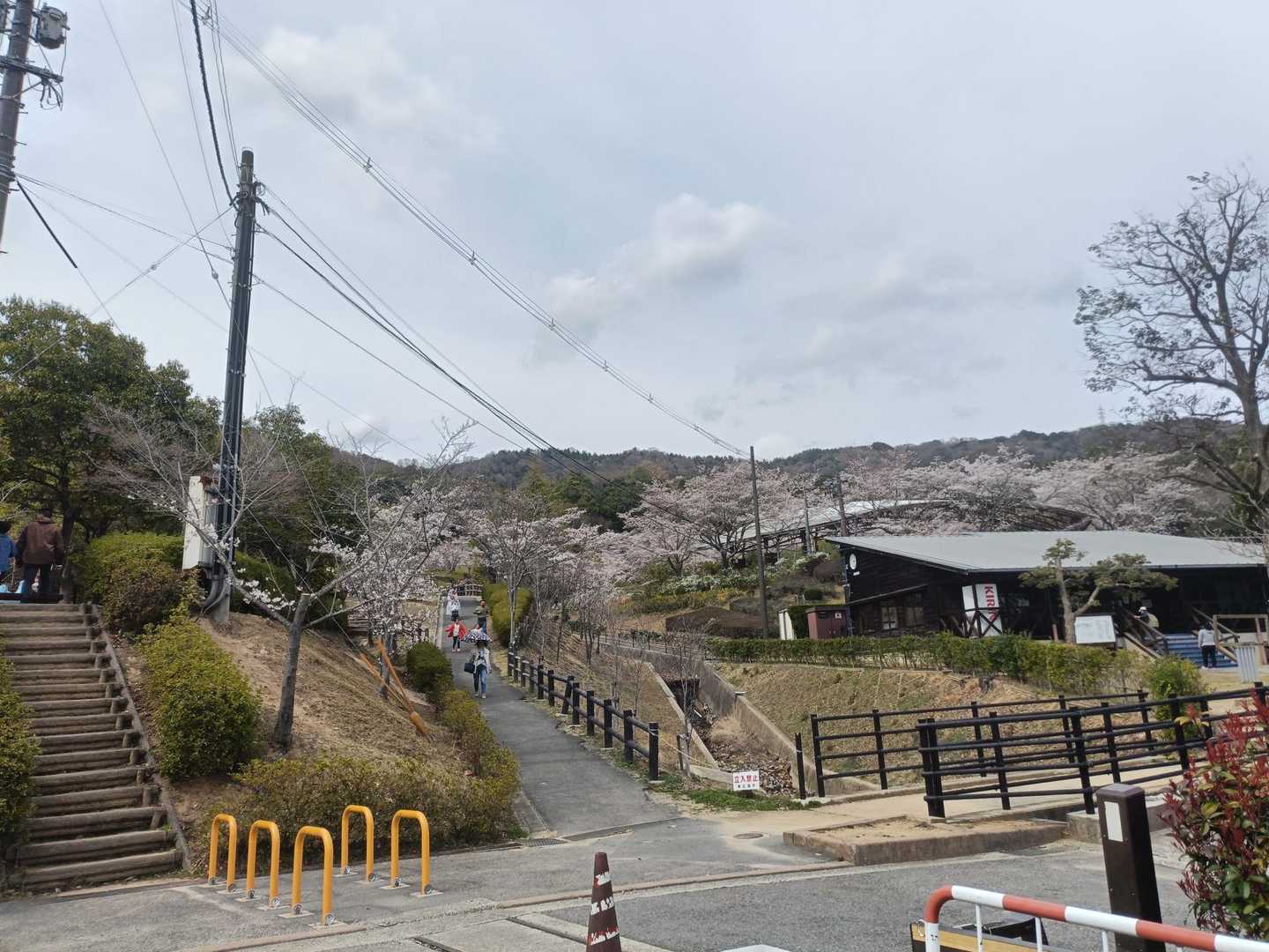 龍王山 周回コースの写真