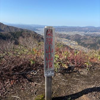 本日のラスボス👑